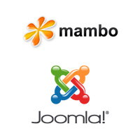 programmatore javascript