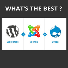 esperto programmatore wordpress